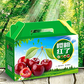 手提水果包裝盒