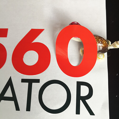 可移PVC標(biāo)簽